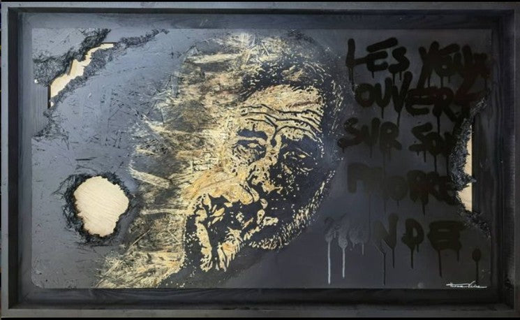 Les yeux ouverts sur son propre monde — Thomas Vinas