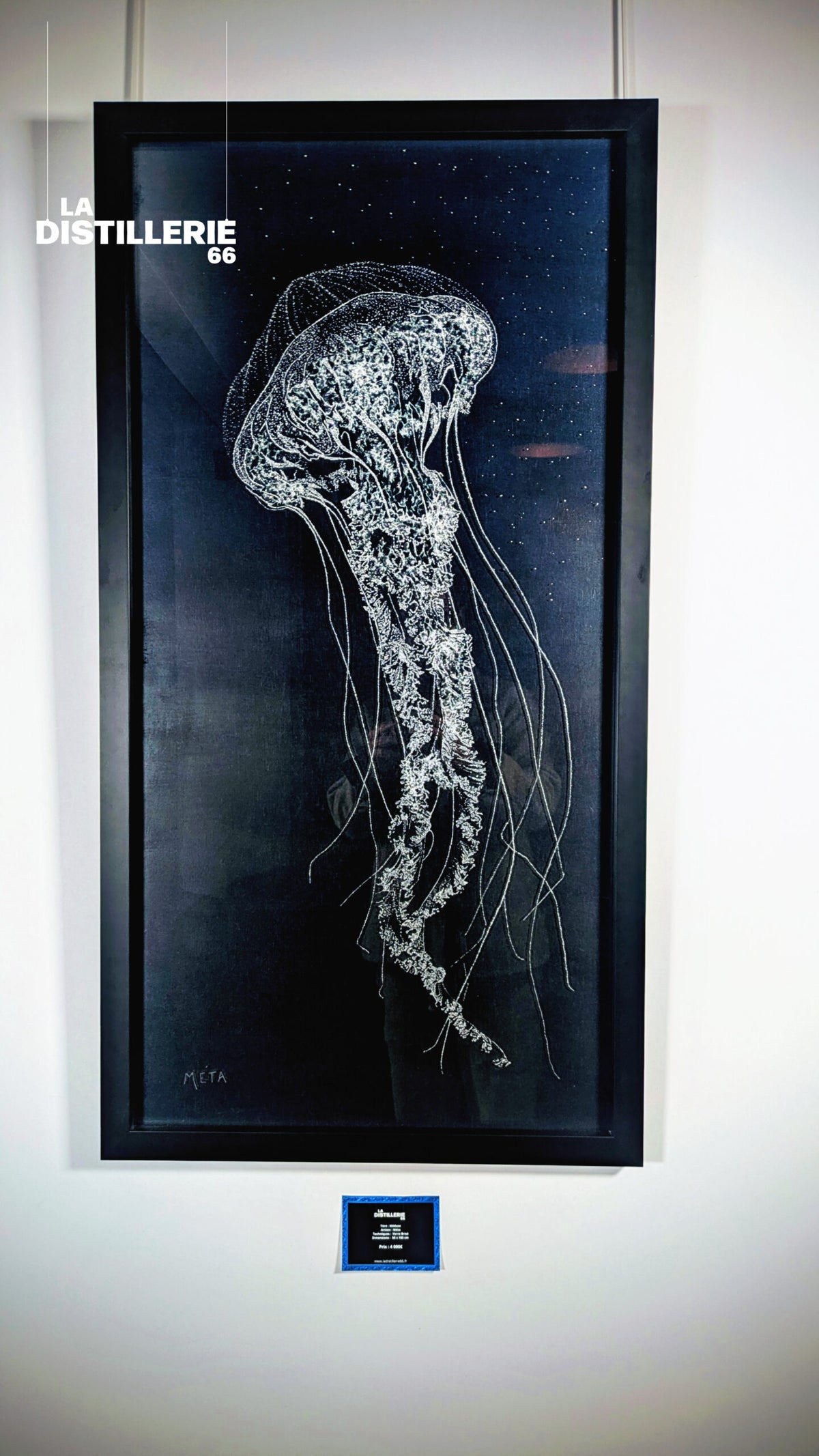 Œuvre Méduse par Méta — art contemporain fondé sur le verre brisé