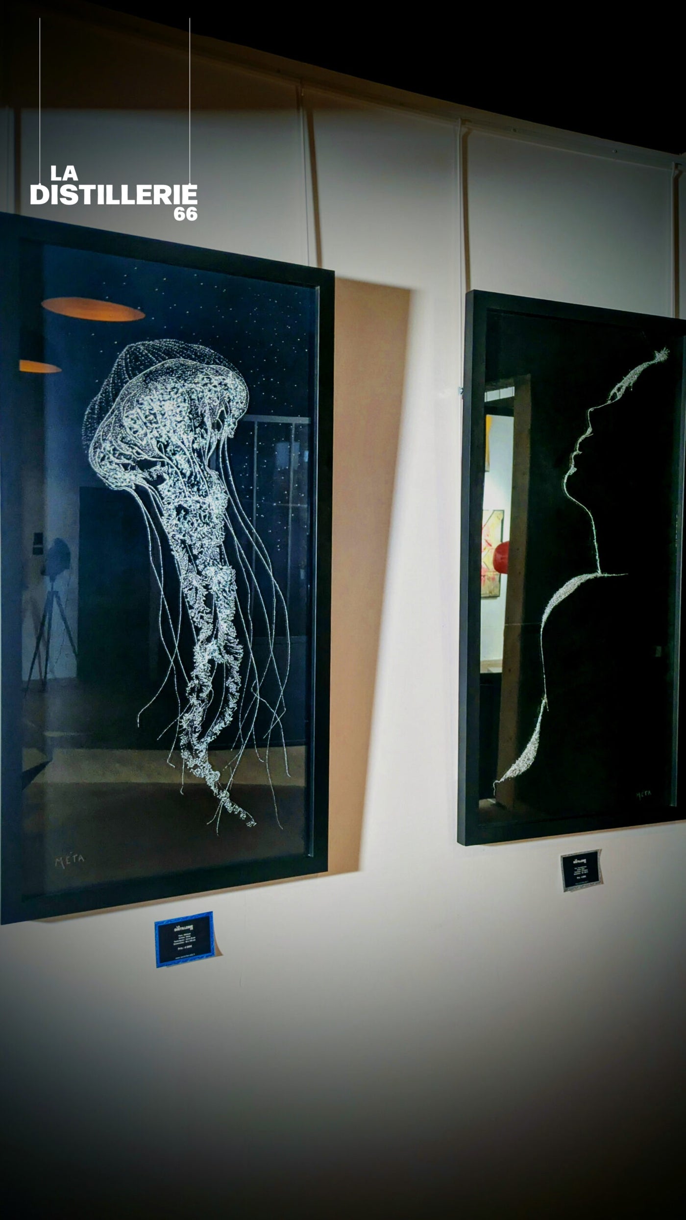 Tableau Méduse de Méta — œuvre contemporaine en verre brisé