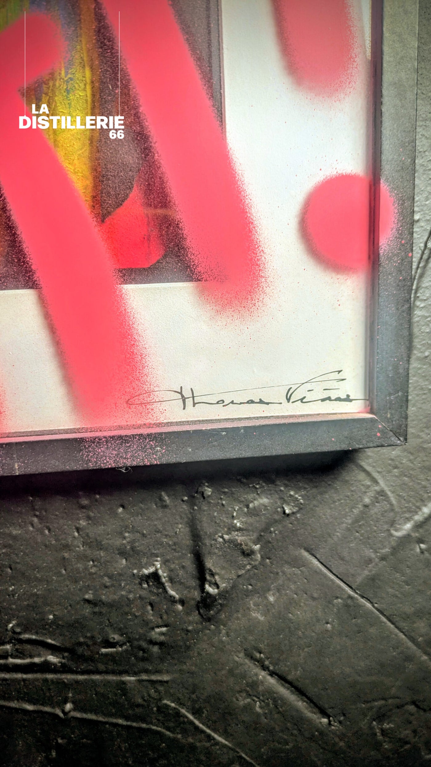 No Fight — Thomas Vinas