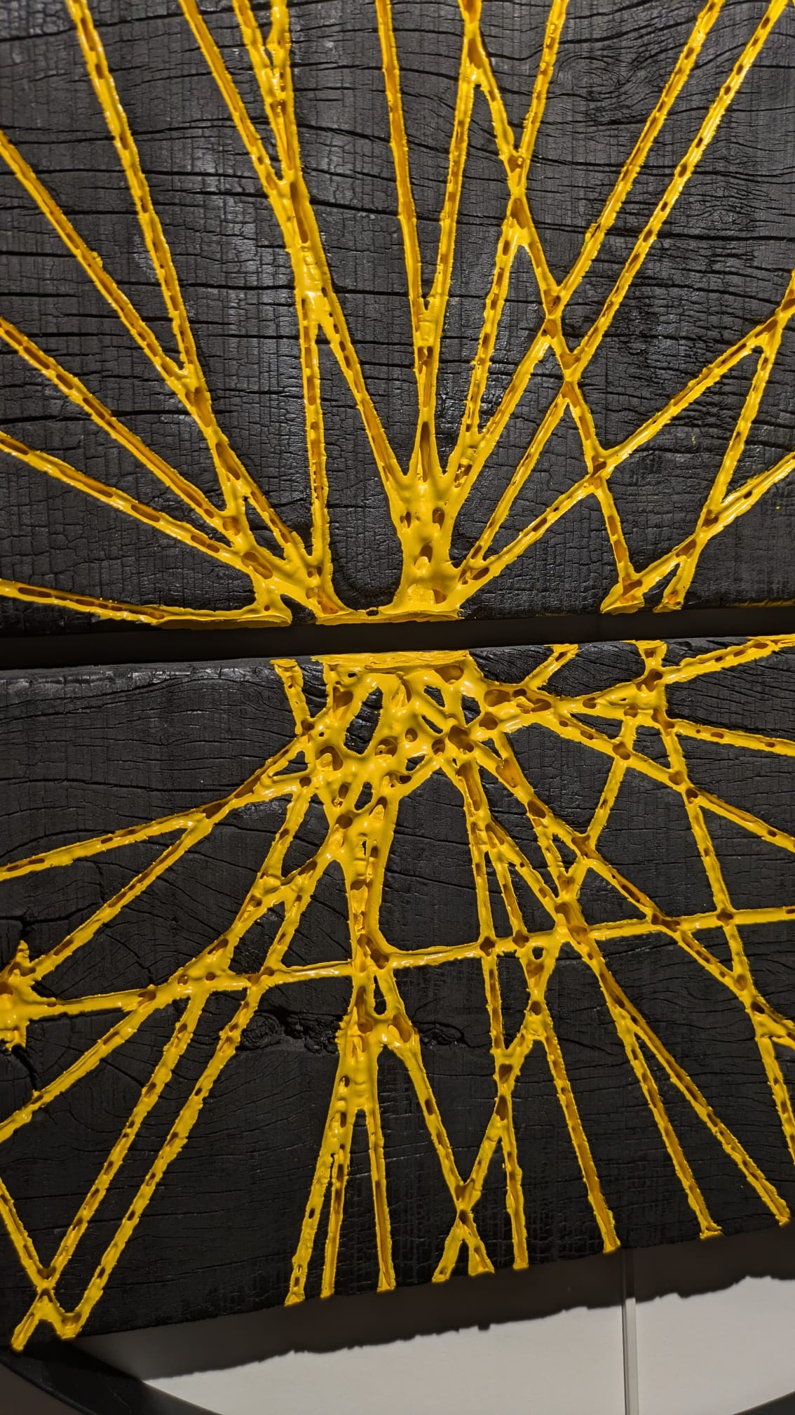 Section — Thomas Vinas