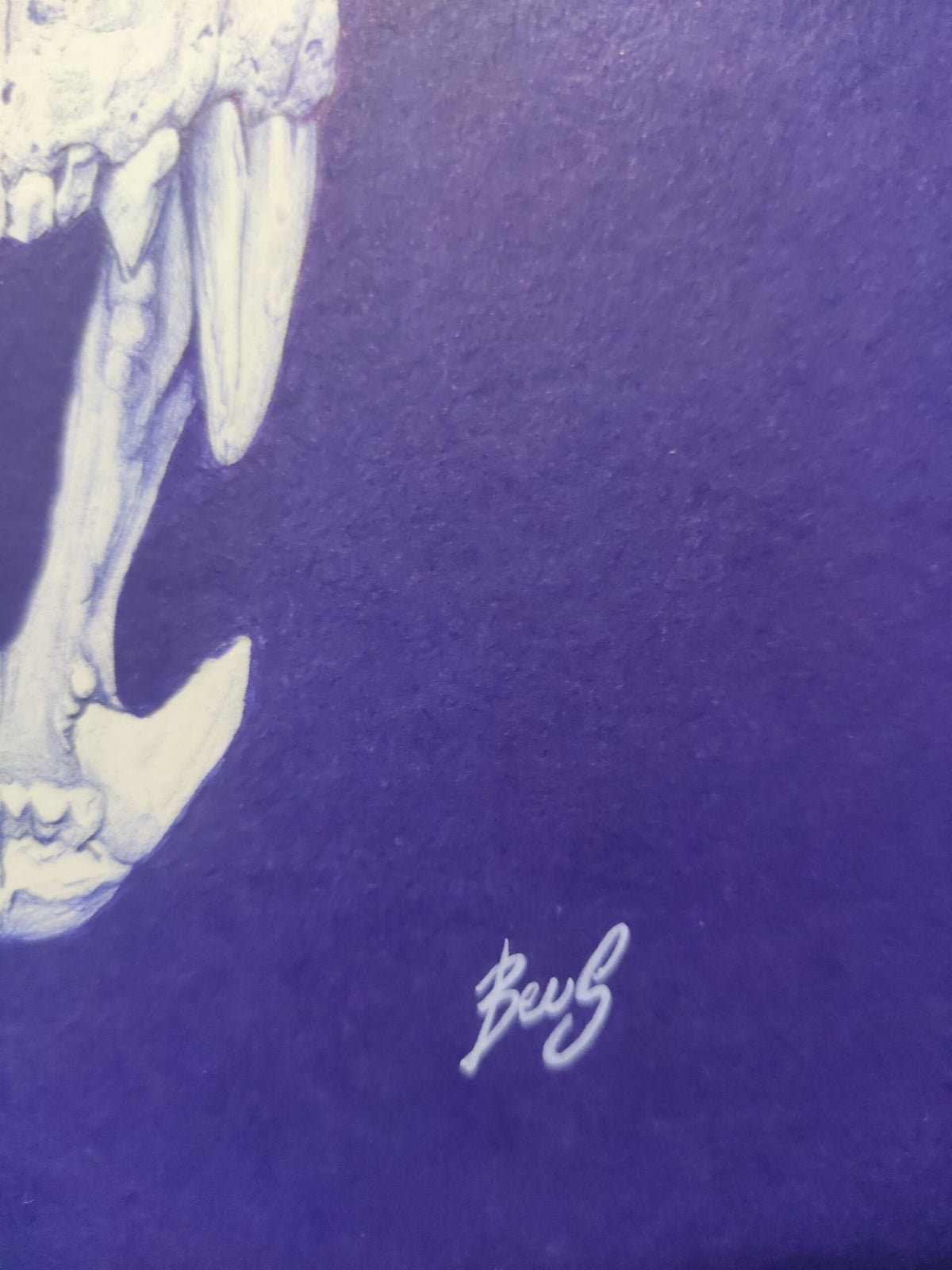 Bestial — dessin de Beus au stylo Bic représentant un crâne animal préhistorique