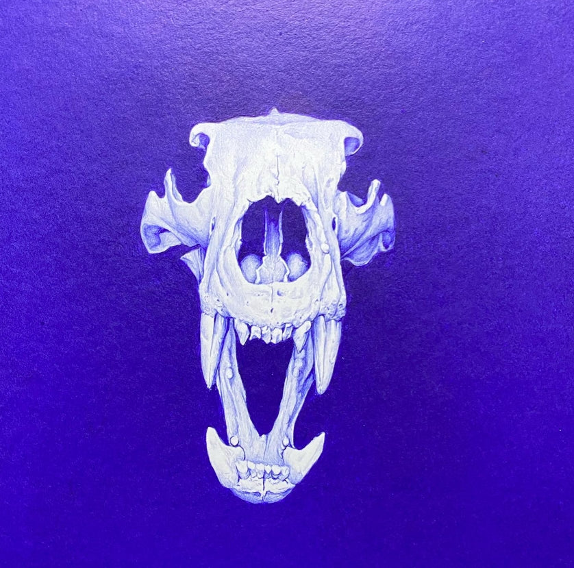 Œuvre Bestial par Beus — art au stylo Bic inspiré de la préhistoire et de l’histoire naturelle