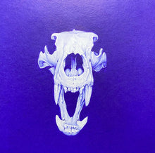 Œuvre Bestial par Beus — art au stylo Bic inspiré de la préhistoire et de l’histoire naturelle