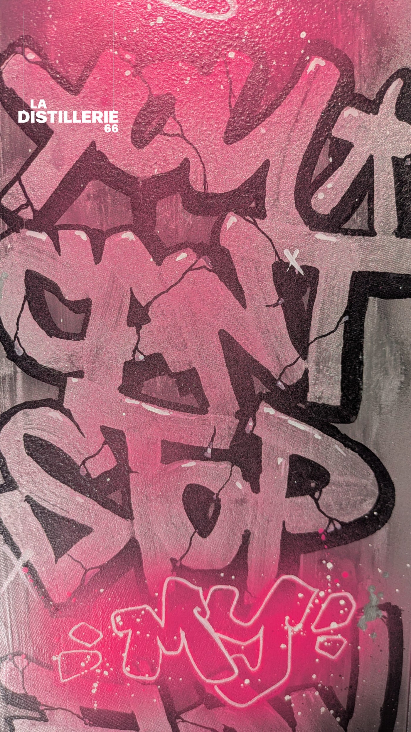 Can't Stop My Flow de Pablito Mourer — street art sur panneau signalétique en aluminium