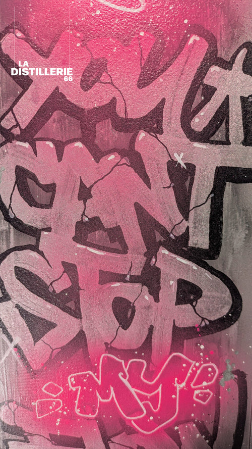 Can't Stop My Flow de Pablito Mourer — street art sur panneau signalétique en aluminium