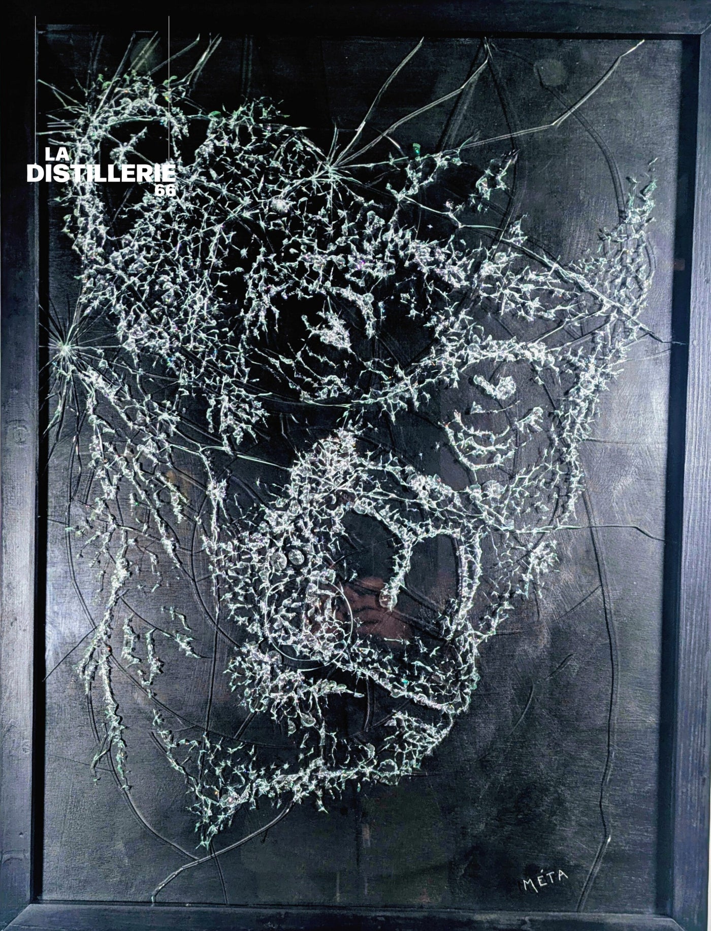 Gorille de Méta — tableau en verre brisé et fragmentation de l’image