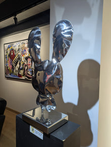 Kylian Iglésis — Bunny F2 poli miroir en situation