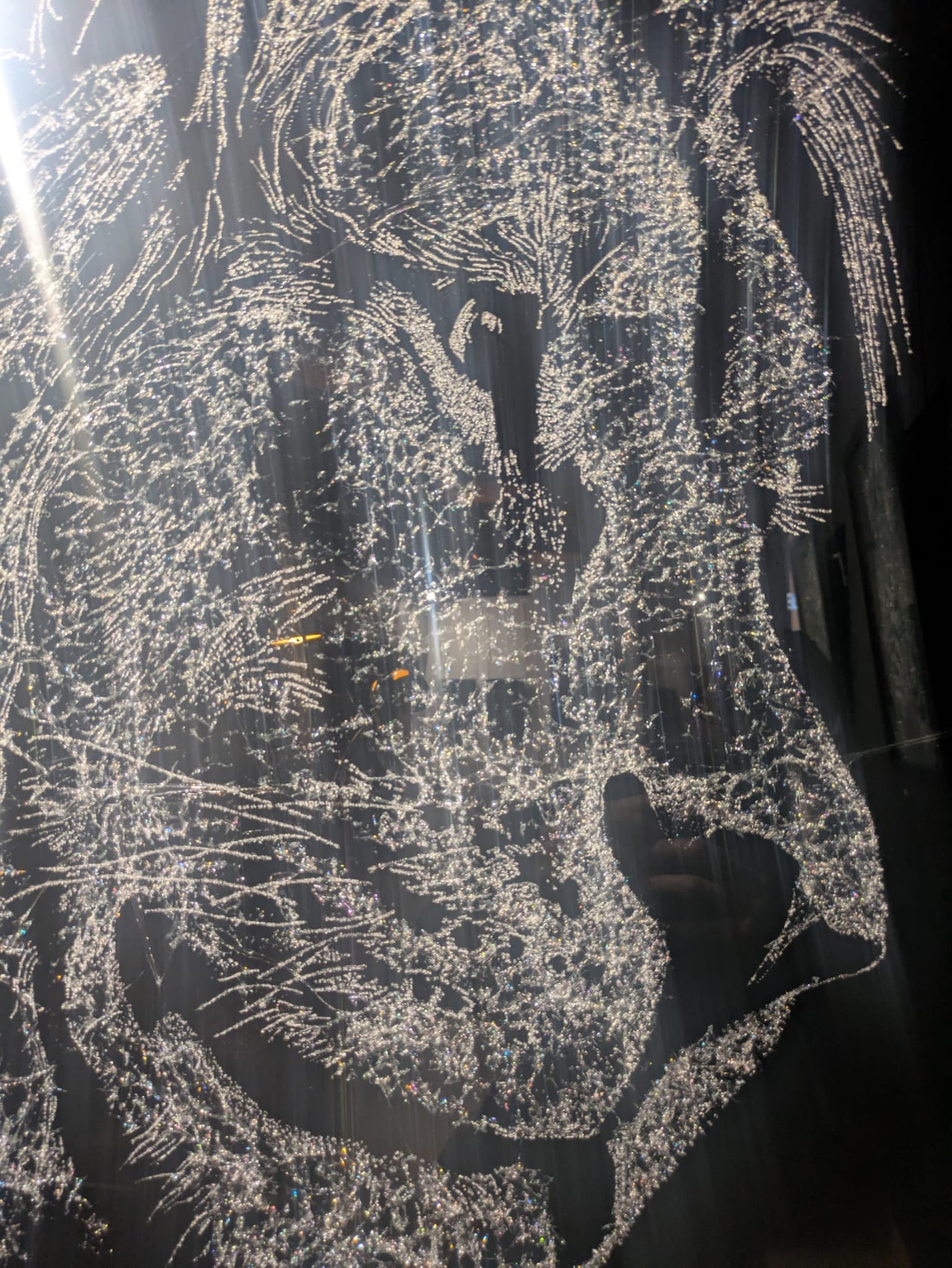 Lion — création de Méta en verre brisé, regard animal révélé par les fractures