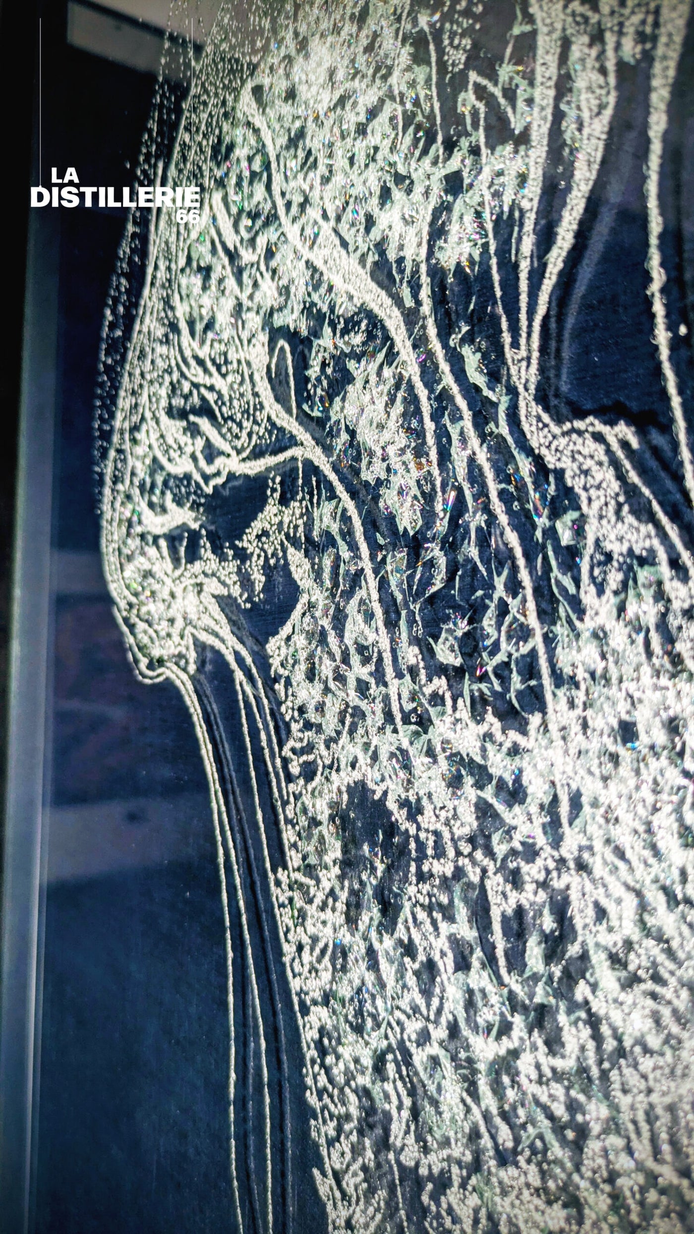 Méduse — création de l’artiste Méta en verre travaillé et fragmenté