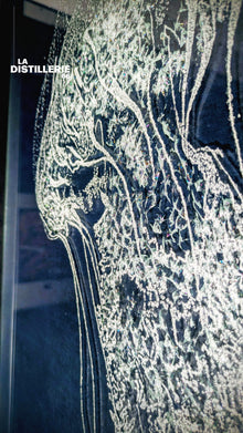 Méduse — création de l’artiste Méta en verre travaillé et fragmenté