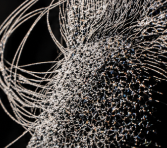 Méta — Diptyque Regard — vue 3