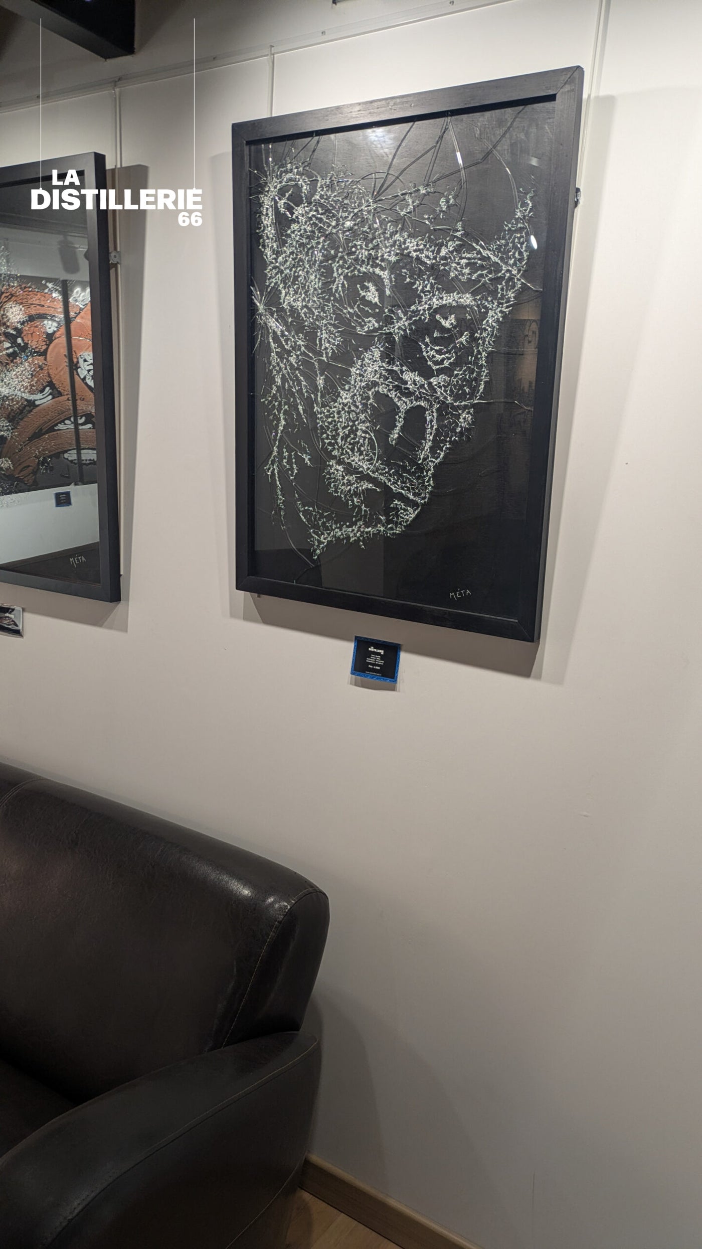 Gorille — création de Méta en verre brisé, œuvre contemporaine sur verre