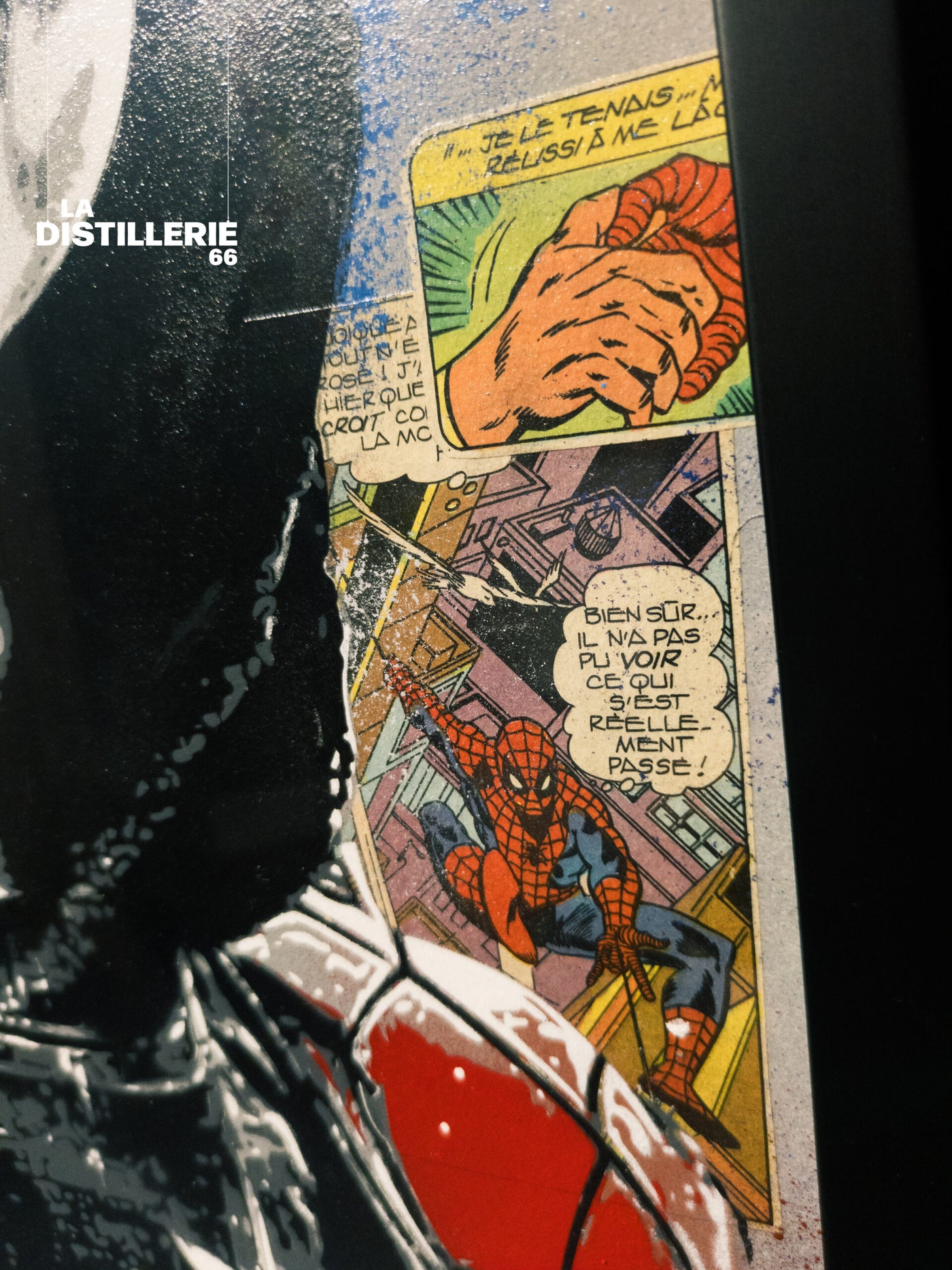 Mini Spiderman — Maxime Andriot