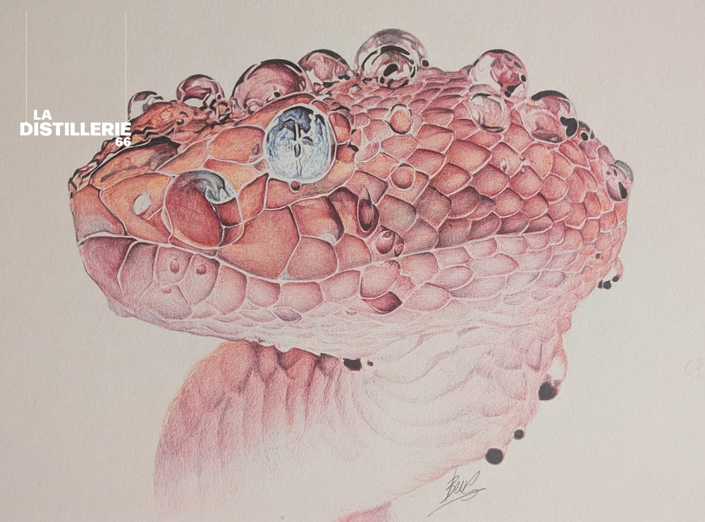 Triméserus