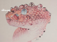 Triméserus — Beus
