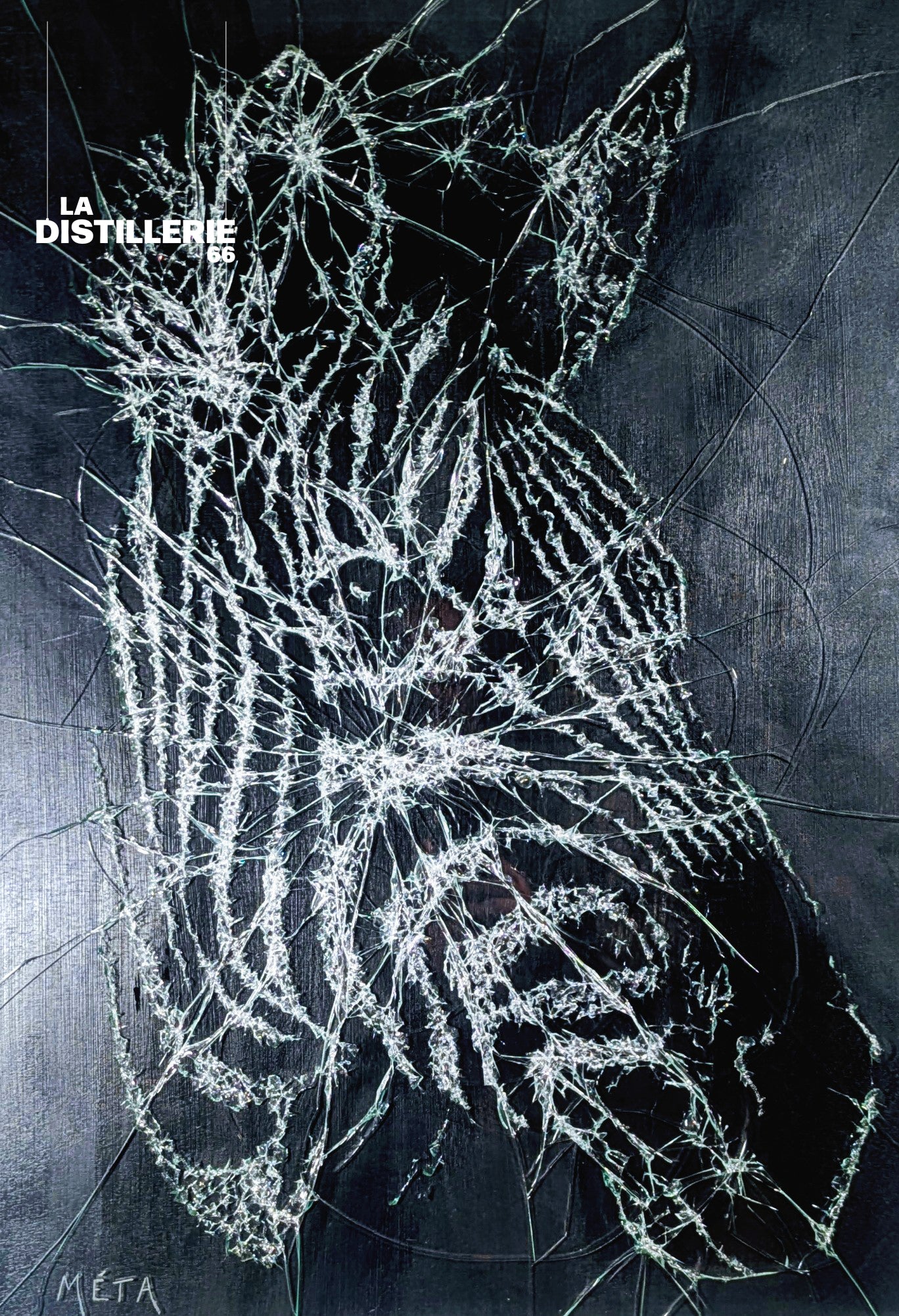 Zèbre — Méta