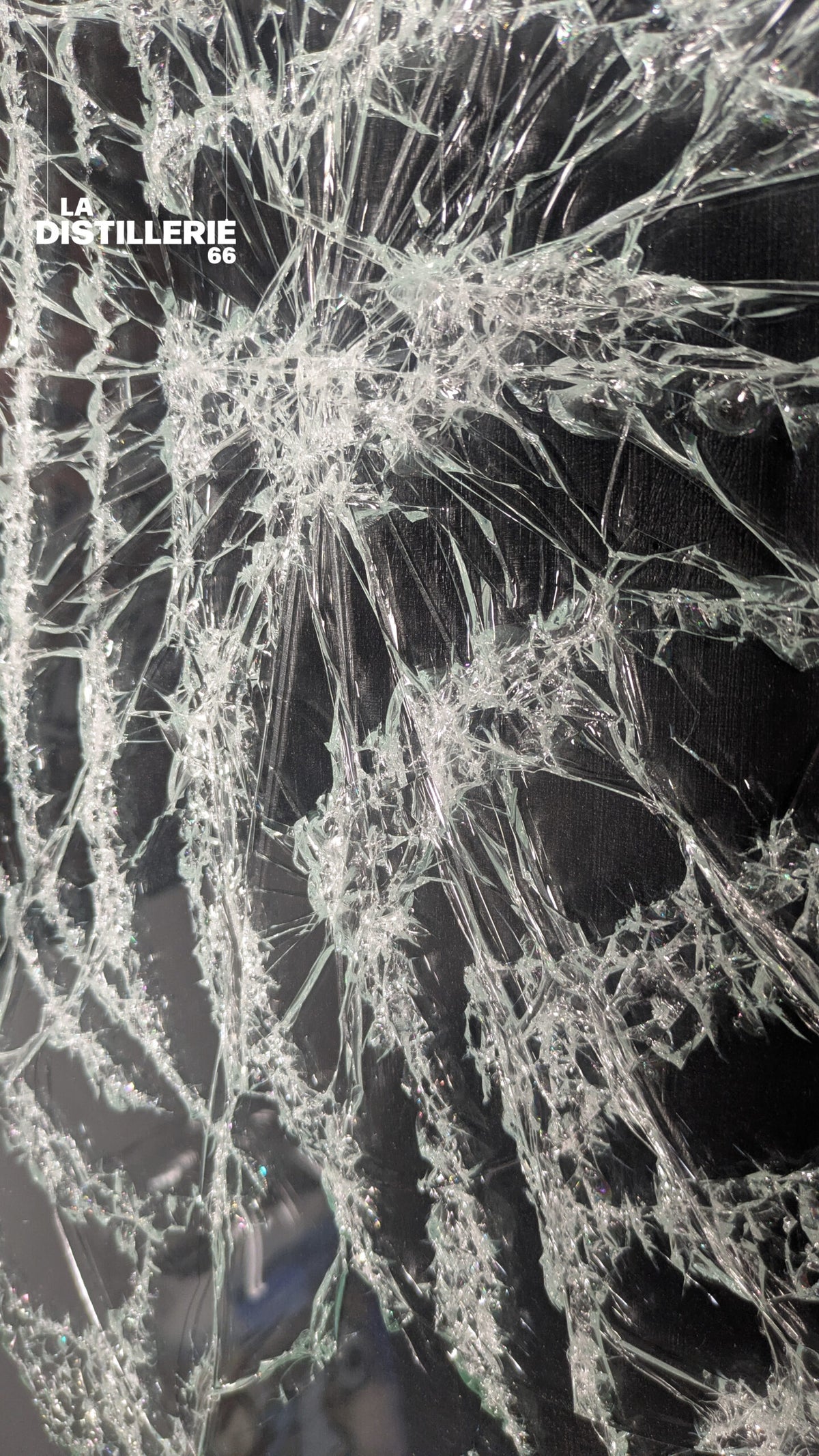 Zèbre — Méta